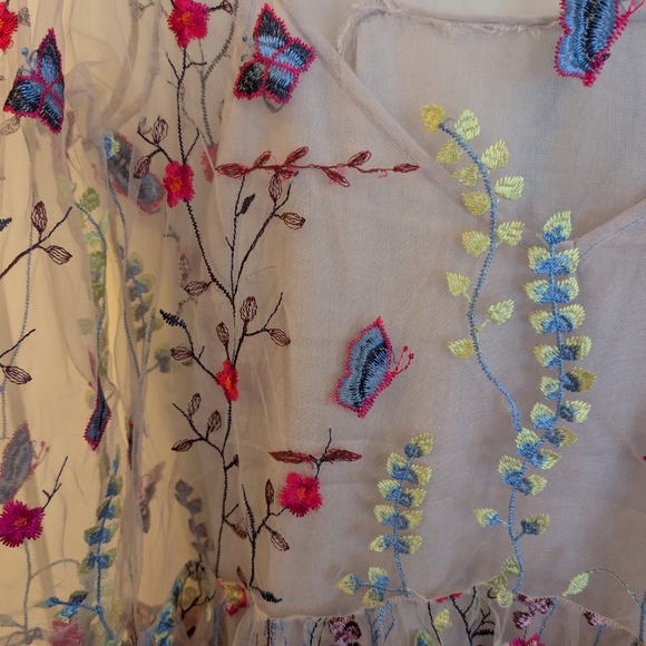 Free People Sheer Floral Embroidered Mini Dress - Picture 3 of 16